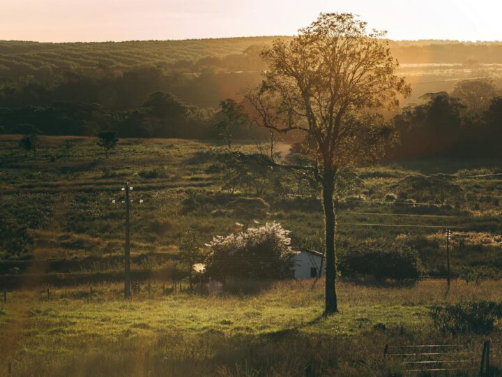Parque Rural de Woodgate Valley